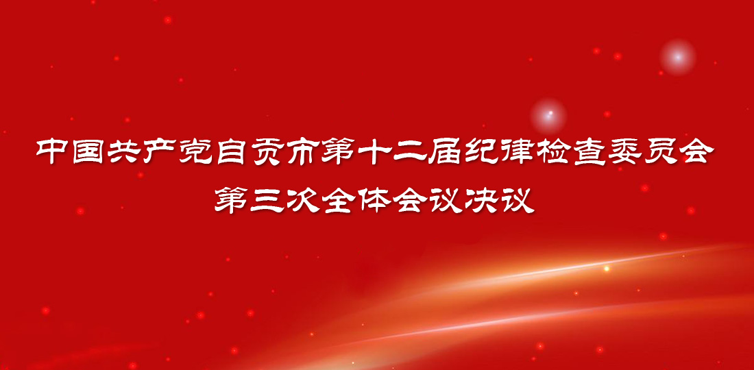 中国共产党自贡市第十二届纪律检查委员会第三次全体会议决议