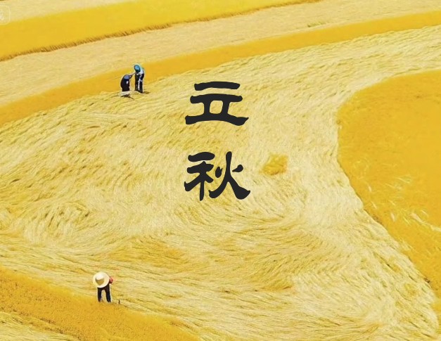 二十四节气 | 立秋