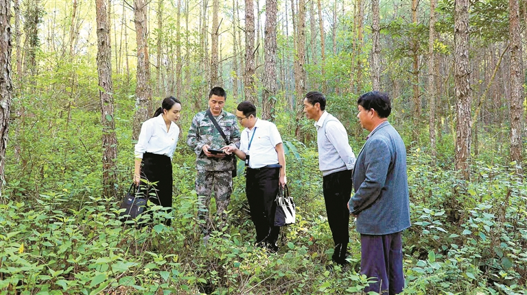 强化政治监督,推动高质量完成"十四五"答卷丨共绘美丽生态画卷
