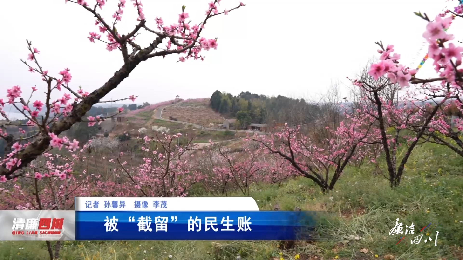 廉洁四川《廉播》报道丨被“截留”的民生账