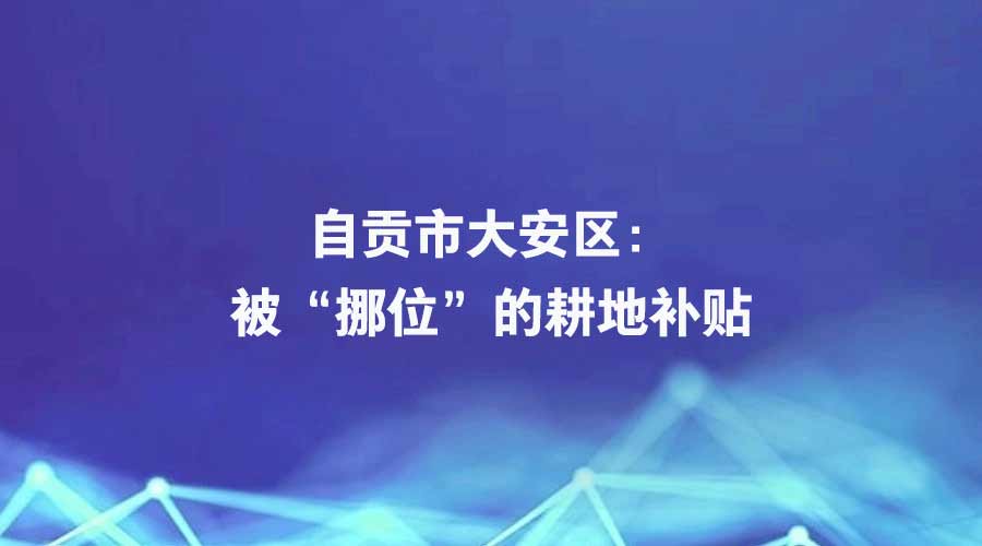 廉洁四川《四个专班在行动》栏目报道丨自贡市大安区：被“挪位”的耕地补贴