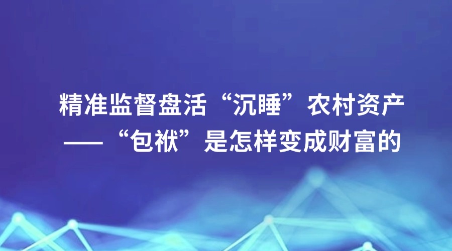 中国纪检监察报报道丨精准监督盘活“沉睡”农村资产——“包袱”是怎样变成财富的
