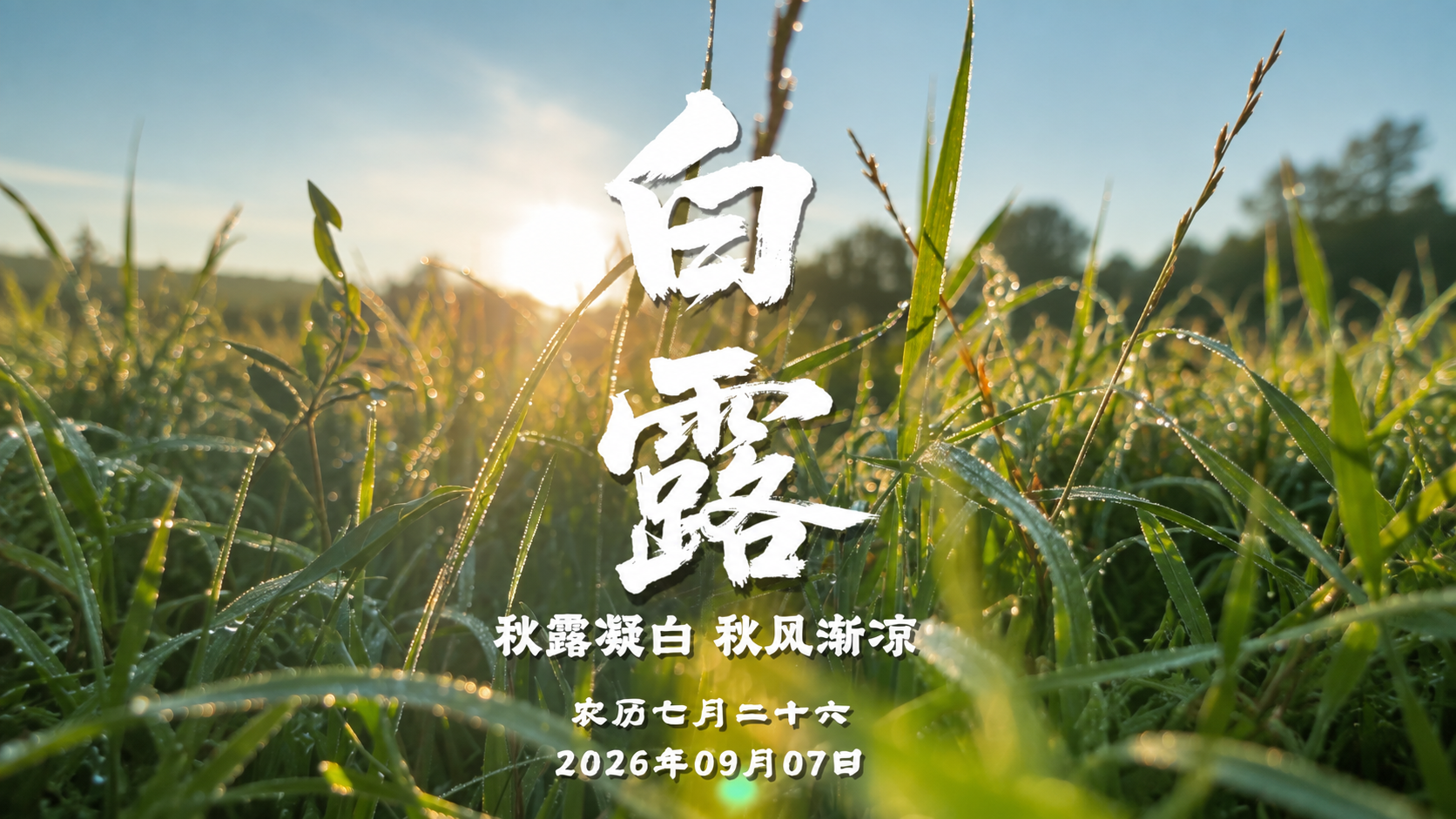 视频丨今日白露