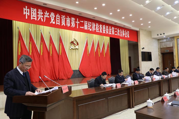 市委农工委主任李雍麟向全会述责述廉