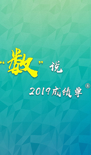 “数”说2019成绩单⑧