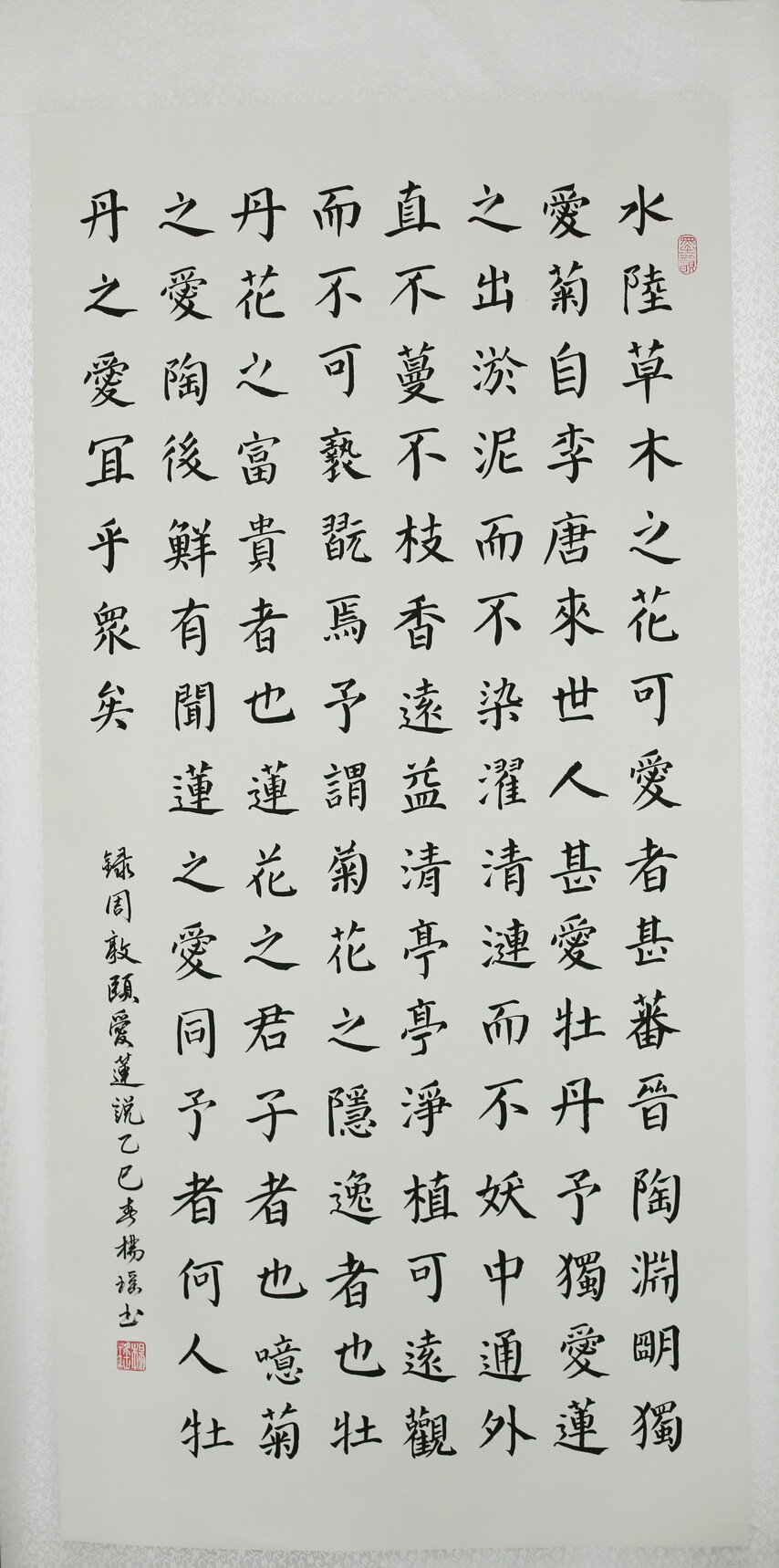 24.《爱莲说》 作者:杨瑶.JPG