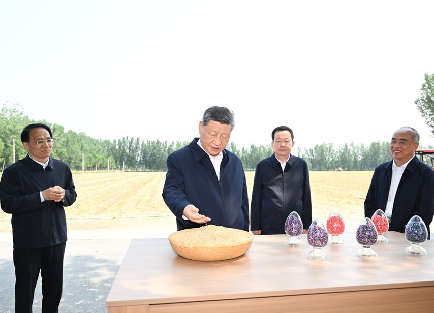 6月24日，中共中央总书记、国家主席、中央军委主席习近平在山东省德州市考察。这是习近平在陵城区边临镇东于架村了解当地“三夏”生产情况。新华社记者 燕雁 摄.jpeg